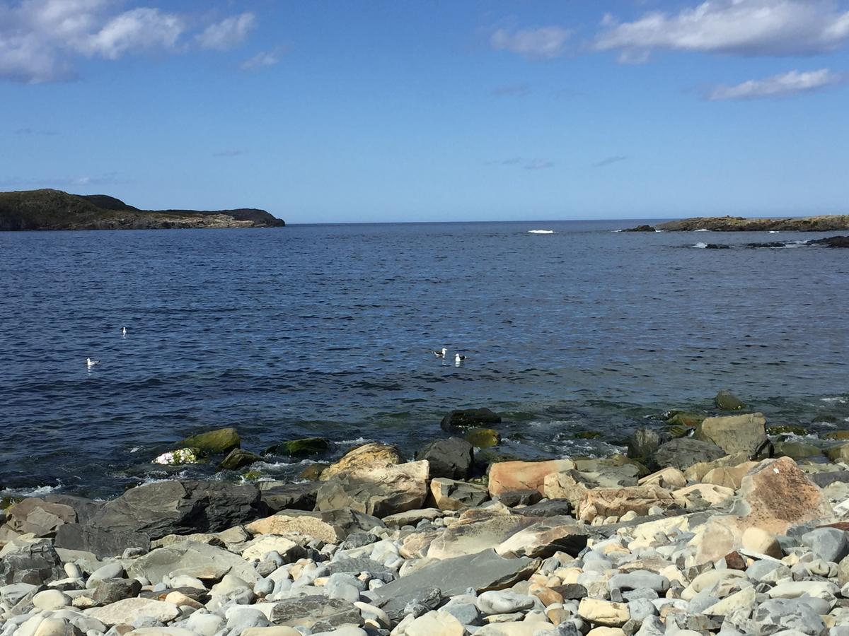 Meems Elliston B&B Bagian luar foto