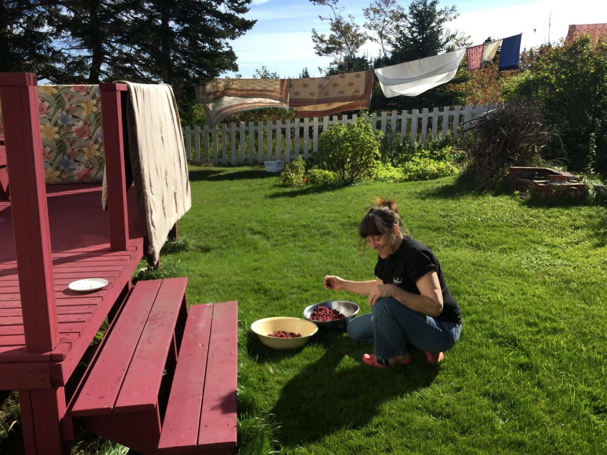 Meems Elliston B&B Bagian luar foto